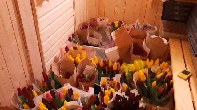 Торговля идёт полным ходом. Цены на тюльпаны в 2021 году. Как я реализую свои цветы. смотреть онлайн