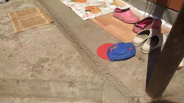 Белый племянной петух кохинхин- красавчик смотреть онлайн