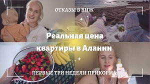 АЛЛЕРГЕНЫ И ПРИКОРМ ◈ ОТКАЗЫ В ВНЖ В АЛАНИИ ◈ ЦЕНЫ НА КВАРТИРЫ РАСТУТ