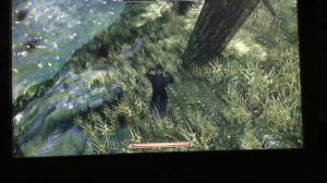 Incarnate Avians Skyrim Mod on the XboxOne