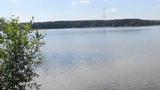 Соревнования по рыбалке/Рыбалка на Клинском рыбхозе смотреть онлайн