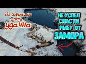 ✔ НЕ УСПЕЛ СПАСТИ РЫБУ ОТ ЗАМОРА удачно ПОЛОВИЛ НА жерлицы Замор рыбы зимой