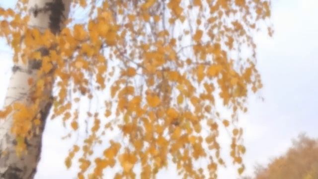 #Осенняя мелодия Самая красивая осенняя песня