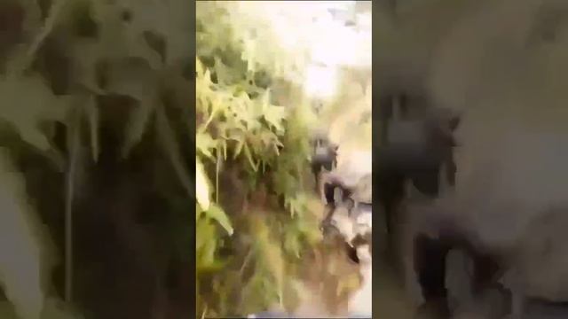В сети сообщают о начале новой войны. Армия Венесуэлы начнет военные действия против Гайаны