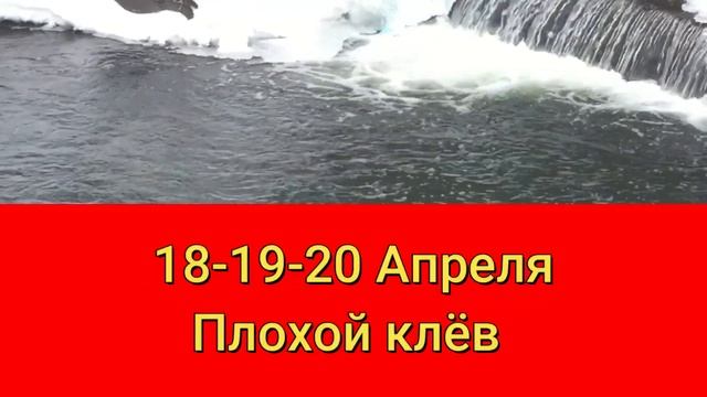 Прогноз клева рыбы на эту неделю с 15 по 30 Апреля Календарь рыбака на Апрель Календарь клева