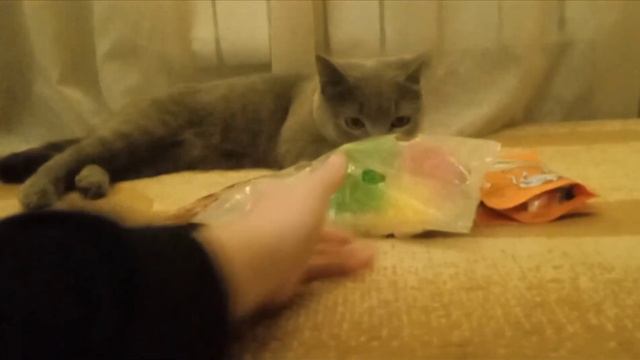 подарки на 1 марта!!!! смотреть онлайн