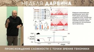 Происхождение сложности с точки зрения геномики. Лекция к. б. н. Наримана Баттулина