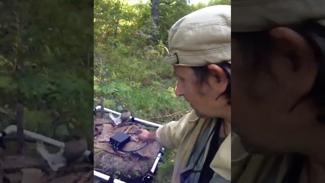 IMG 2233 Находки в лесу с помощью импульсного глубинного металлоискателя Hunter смотреть онлайн