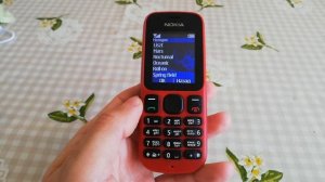 Обзор телефона Nokia 100