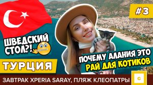 #3 ТУРЦИЯ РАЙ ДЛЯ КОТИКОВ В АЛАНИИ! ШВЕДСКИЙ СТОЛ XPERIA SARAY BEACH, ПЛЯЖ И НАБЕРЕЖНАЯ КЛЕОПАТРА