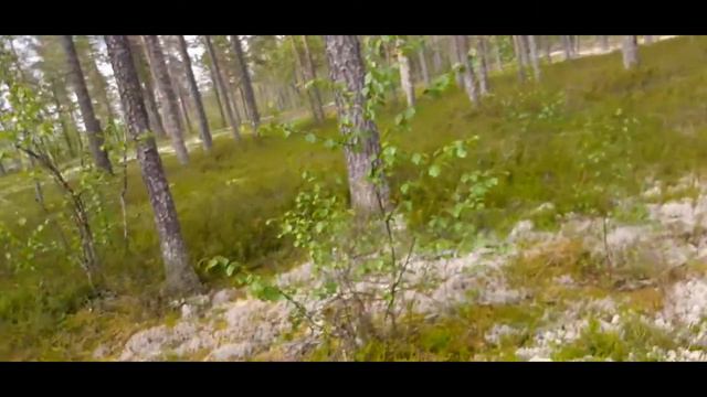 День рыбака с рыбкой...Прогулка по лесу... смотреть онлайн