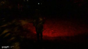 Универсальный Фонарь Armytek Crystal Red Ruby налобный