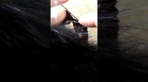 Меховой воротник с вязаной крючком каймой