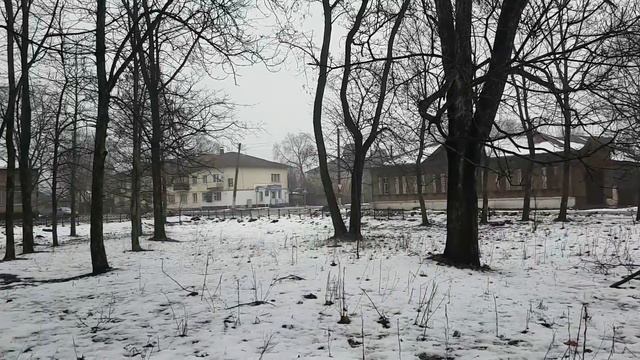 Семеновка 2018