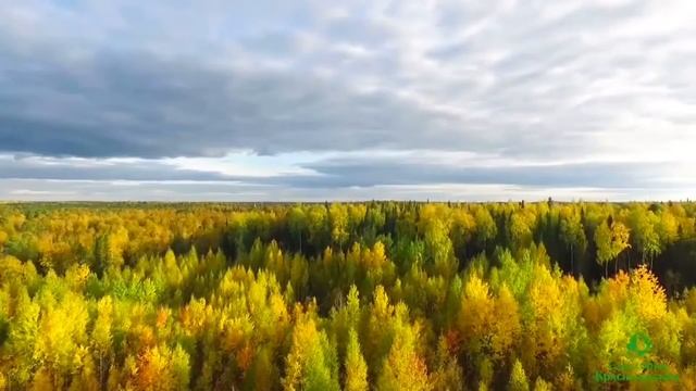 КРАСНОЗЁРСКИЙ РАЙОН Новосибирская область смотреть онлайн