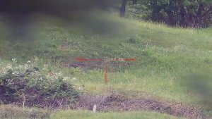 PARD NV008P LRF