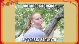 Приколы и прикольные картинки. ТЕСТ НА ПСИХИКУ