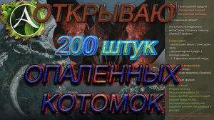 Архейдж. Открываю опаленная котомка. 200 штук
