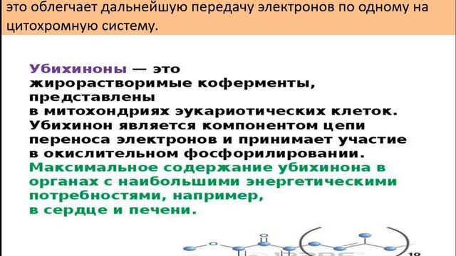 Нагиев Э Р  Биоэнергетика  Биоокисление