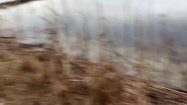 Белое Озеро.Беларусь.Лунинецкий рай. смотреть онлайн