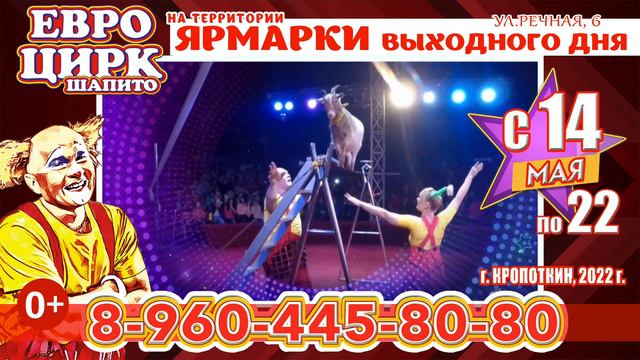 Цирк владикавказ на доватора 2025. Цирк Новороссийск. Цирк Невинномысск. Цирк Каневская. Цирк Владикавказ