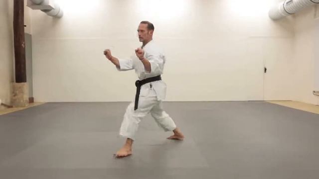 karate passage de grades les 6 kata du karate shotokan par eric delannoy