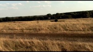 Хутор Шакин Кумылженский район