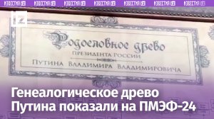 Родословное древо Владимира Путина показали на стенде Дома семейных традиций «Кристиан» на ПМЭФ-2024