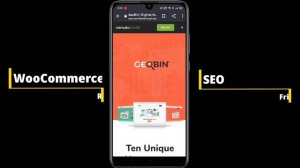 Best WordPress Themes for SEO and Marketing | Digital Marketing Agency | Geobin Theme review