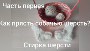 Как прясть собачью шерсть//1 часть//Стирка