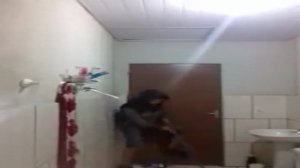 Блогер вместе с котом пытался выгнать крысу из ванной