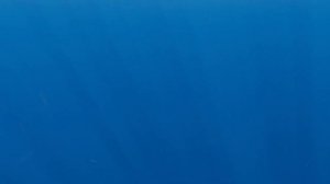 The Aquatic Horror (SCP-1128) - Thalassophobia Animation