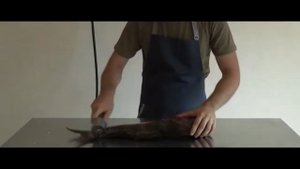 Рыбочистка электрическая профессиональная 180Вт 230В (производство Украина) electric fish scaler
