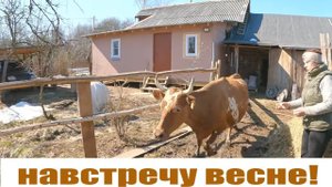 Эта "другая" весна с коровами, телега для мотоблока, огород уже ждет! Жизнь в деревне!