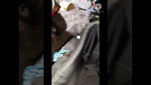 Стелс капитан (доработки)