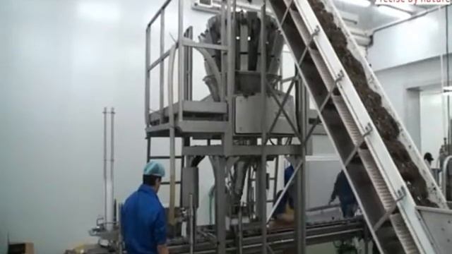 Морская капуста: полный цикл переработки для производства салатов.