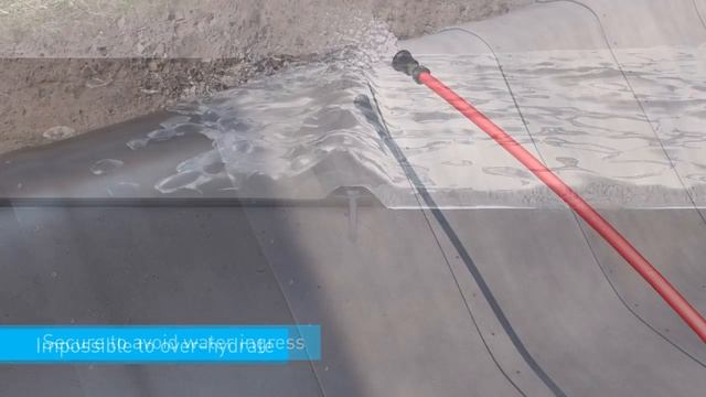 Concrete Canvas Animation Montage смотреть онлайн