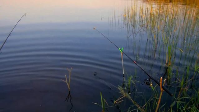 Мой сынок рыбак!!! Рыбалка Селигер. смотреть онлайн