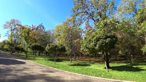 С камерой по осеннему парку Нальчика.mp4