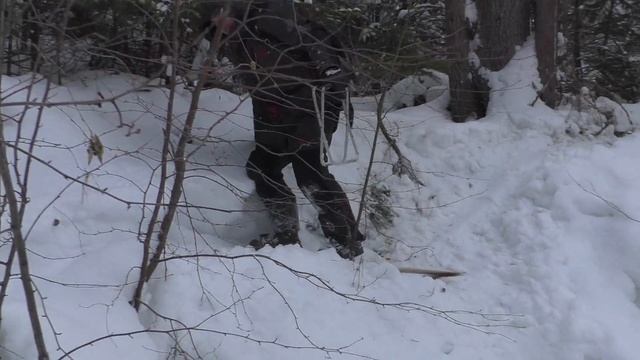 РЫБАЛКА НА ТАЕЖНОЙ РЕЧУШКЕ С КАНАЛОМ СИБИРЬ 38/ХАРИУС и ЛЕНОК ИЗ ПОД ЛЬДА/ ХОРОШИЙ УЛОВ смотреть онлайн