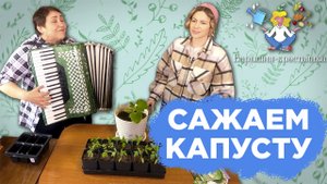 Сажаем капусту