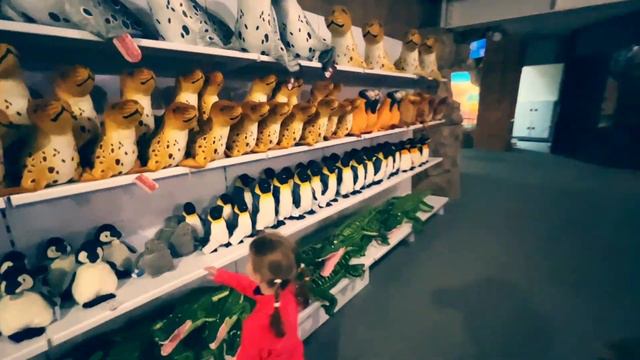 Самарский океанариум смотреть онлайн