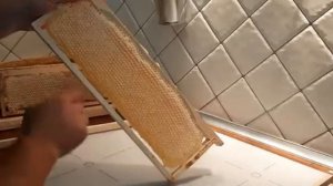 Безвощинный мёд