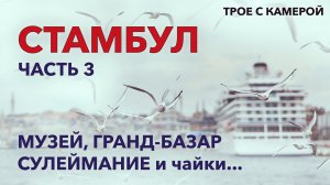 Стамбул. Часть 3. Музей, Гранд-базар, Сулеймание и чайки. Трое с камерой