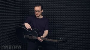 Электроакустика ARIA-101CE