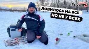 ЛОВИЛОСЬ НА ВСЁ,НО НЕ У ВСЕХ.Клёв отличный.