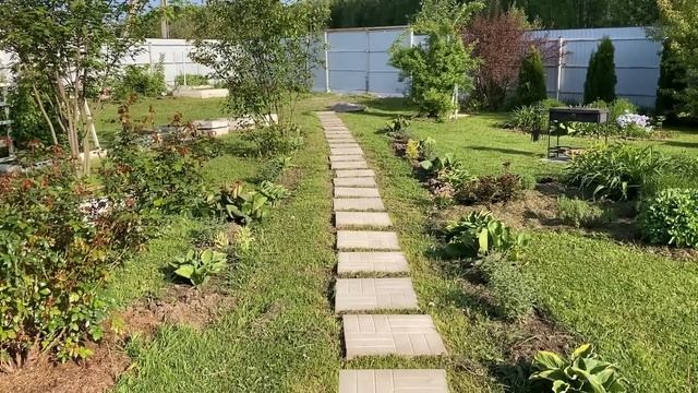 Жизнь на даче: Обзор моего сада на 1 июня 2023г. смотреть онлайн