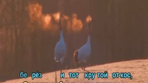 Журавленок (Караоке)