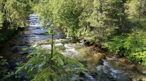 Tatry - Dolina Chochołowska Mountains Forest Rver Waterfalls Nature Sound Relaxation 2018.07.10