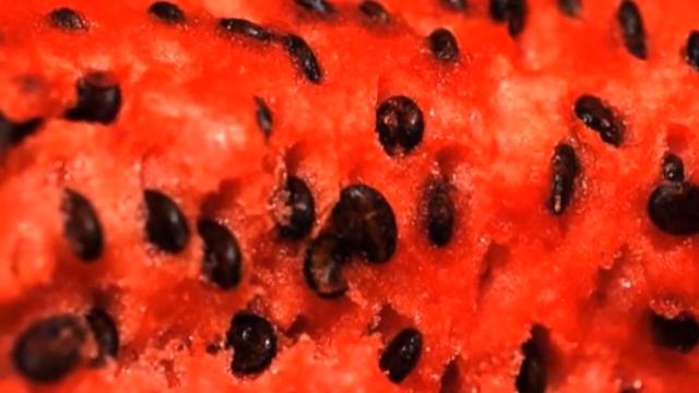 Тарвуз Уруғларини асло ташлаб юборманг уни қайнатиб ичсангиз борми ... смотреть онлайн